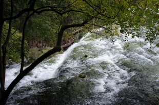 山间湍急溪流穿林而过