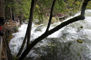 山间溪流旁的木质观景栈道