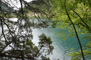 湖畔绿树环绕的清幽景致