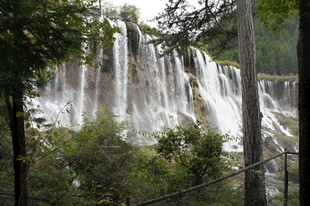 森林中的壮观瀑布景观