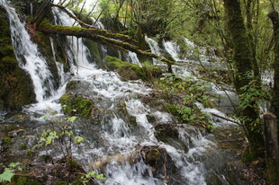 山林间的潺潺溪流瀑布