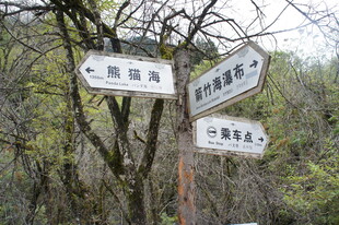 山林中的多方向指示路标