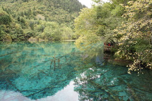 清澈碧绿的山林幽潭