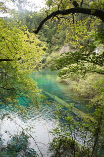 山间碧湖 绿意盎然的美景