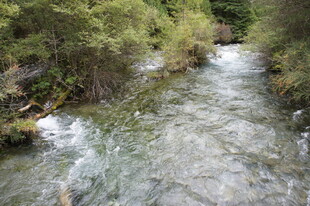 山间清澈溪流潺潺流淌