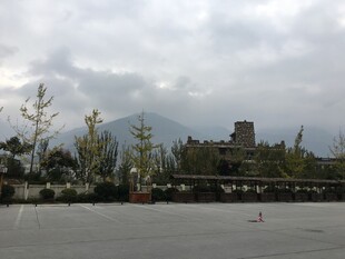 户外停车场旁的自然景致