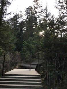 林间步道 漫步自然之境