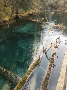 清澈幽美的山间碧绿溪流