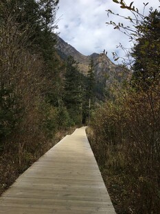 山间木质步道 自然景致