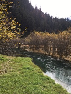 山间溪流旁的翠绿草地