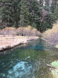 山间清澈溪流与葱郁林木