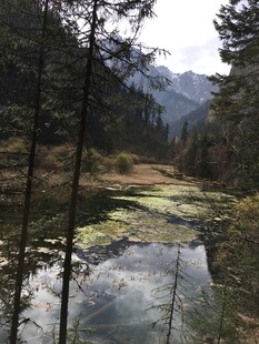 山林间静谧的清澈小水潭