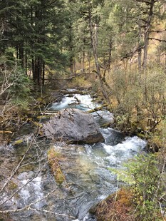 山间溪流潺潺的自然美景