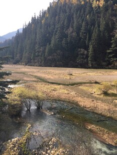 山间溪流旁的开阔原野