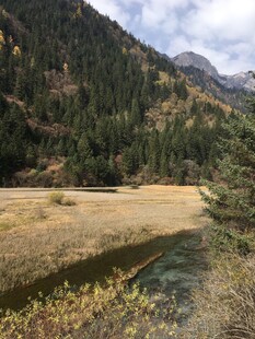 山间河谷秋色美景