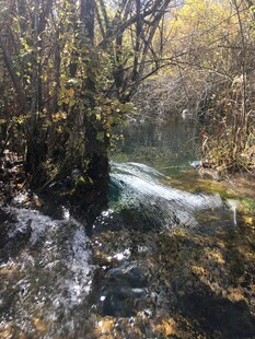 山间溪流 秋色中的灵动景致