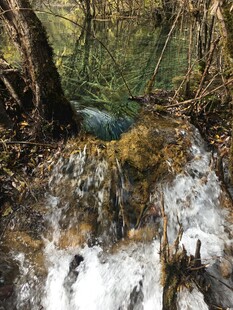 山间溪流潺潺 自然景致