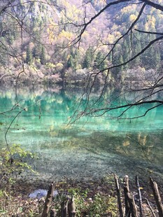 九寨沟清澈碧绿的湖水