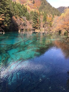 九寨沟绝美清澈湖水景观