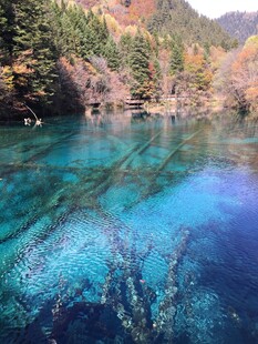 清澈蓝湖与多彩山林美景