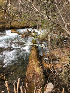 山间溪流 冬日自然景致