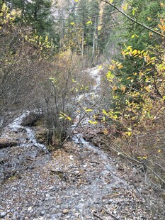 秋日林间泥泞小径