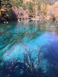 梦幻蓝湖 森林中的澄澈之景