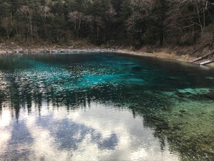 清澈蓝湖映山林美景