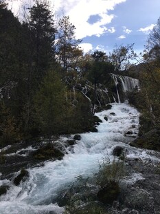 山间湍急溪流与茂密植被