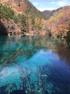 梦幻蓝湖的秋日山林美景