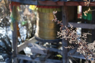 古老转经筒 尽显藏地风情