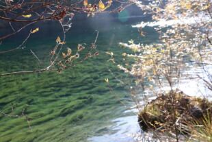 清澈湖水边的自然景致