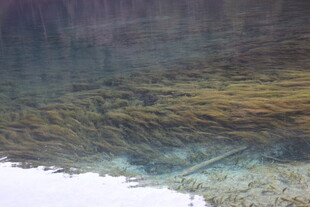 水下景象 隐约可见物体