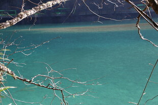 清澈蓝湖与岸边树枝景观