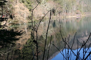 宁静湖畔的自然景致