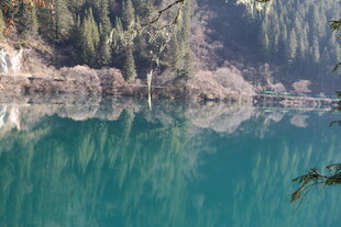 静谧翠湖映山林