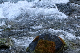 山间溪流中的覆苔石块