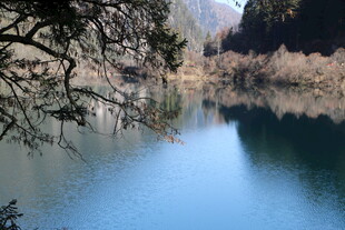 宁静湖畔的自然景致