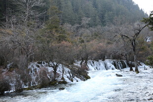 冬日山林中的潺潺溪流