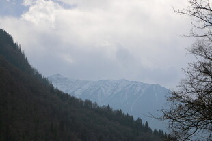 山间云雾缭绕的壮丽景色