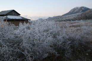 冬日霜覆田野中的小屋