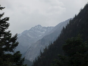 山间森林与远处巍峨山脉