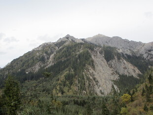 巍峨山峦与葱郁林木景观