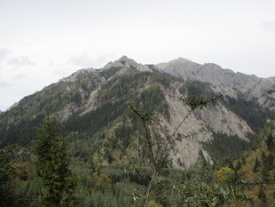 巍峨山峦与葱郁林木