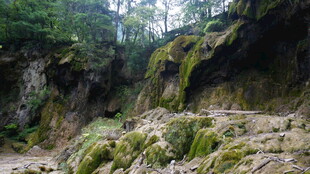 山间青苔覆盖的石壁景致