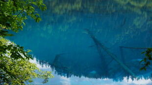 清澈蓝湖倒映葱郁树木