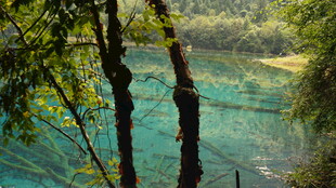 山林间的清澈幽蓝湖泊