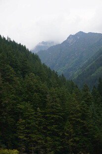 山林云雾间的壮美景色