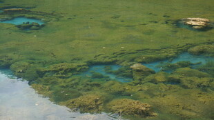 清澈水底的自然景观