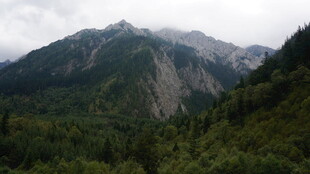 山峦绿意浓 云雾绕峰巅